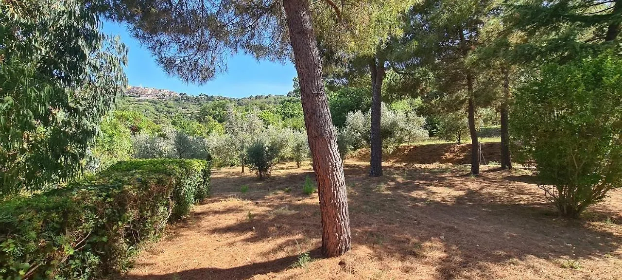 Appartement Villa Vanna Bilo B - Bilocale Casa Ajali